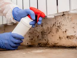 Best Forensic Mold Investigation  in Steep Falls, ME